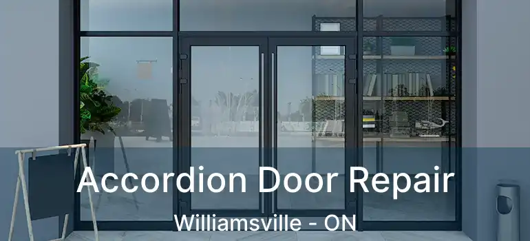  Accordion Door Repair Williamsville - ON