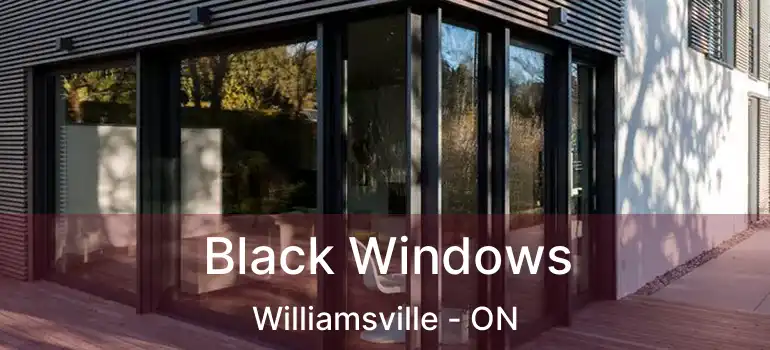  Black Windows Williamsville - ON