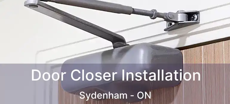  Door Closer Installation Sydenham - ON