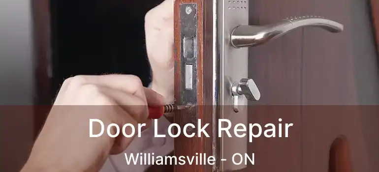 Door Lock Repair Williamsville - ON