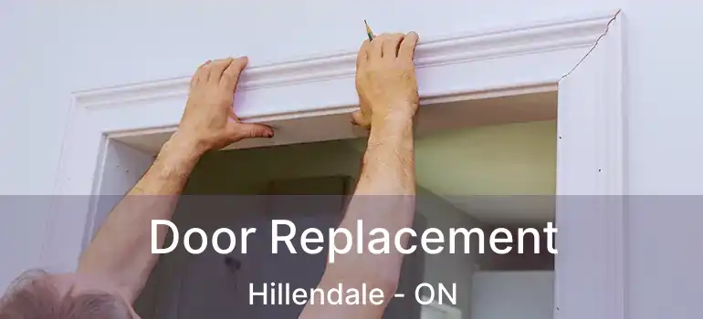  Door Replacement Hillendale - ON