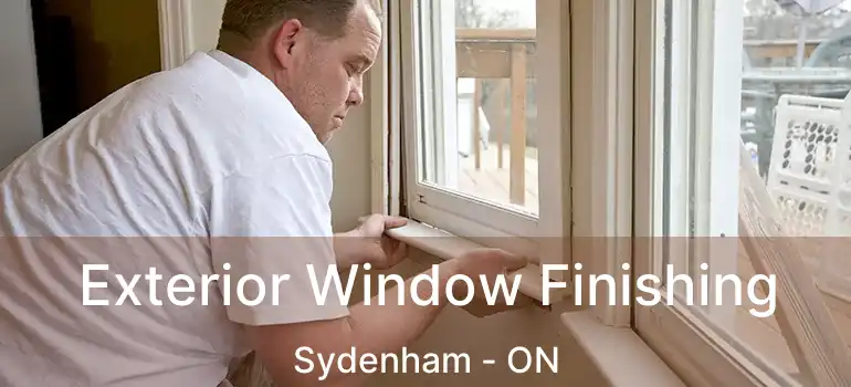 Exterior Window Finishing Sydenham - ON