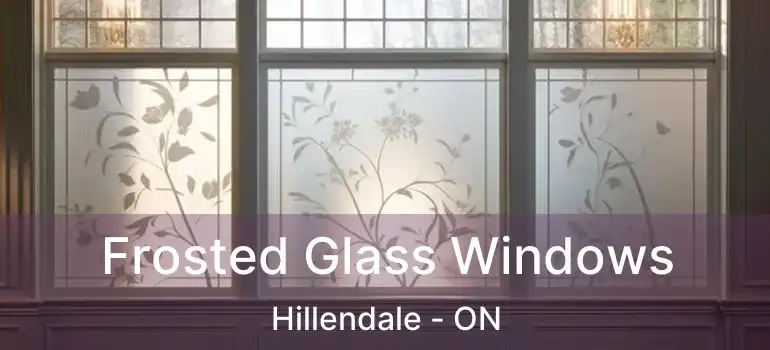  Frosted Glass Windows Hillendale - ON
