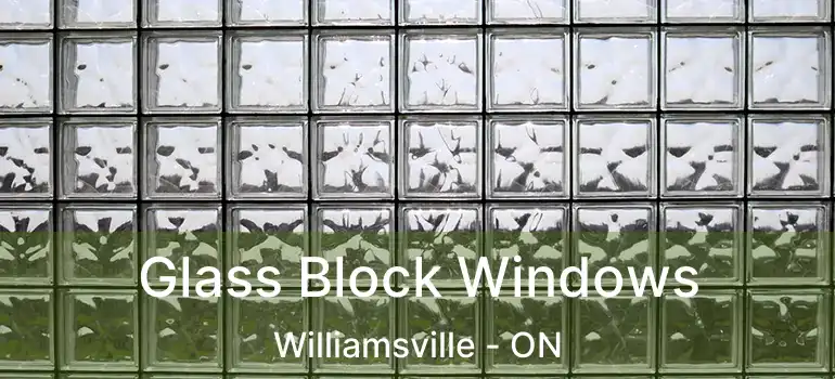  Glass Block Windows Williamsville - ON