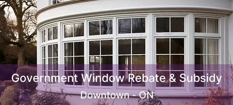  Government Window Rebate & Subsidy Downtown - ON