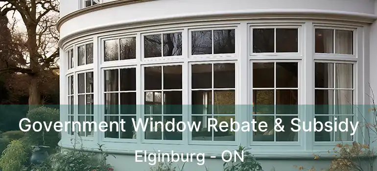  Government Window Rebate & Subsidy Elginburg - ON