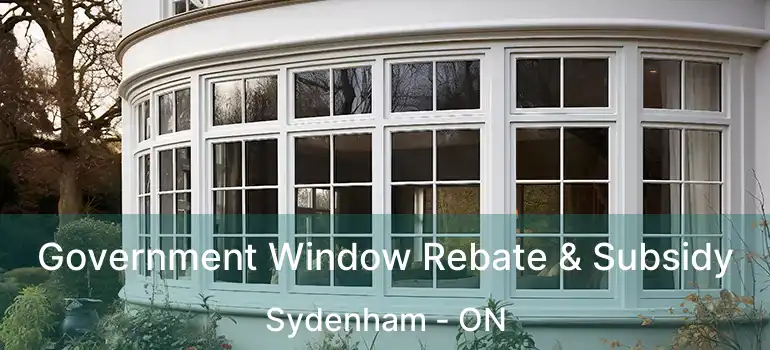  Government Window Rebate & Subsidy Sydenham - ON