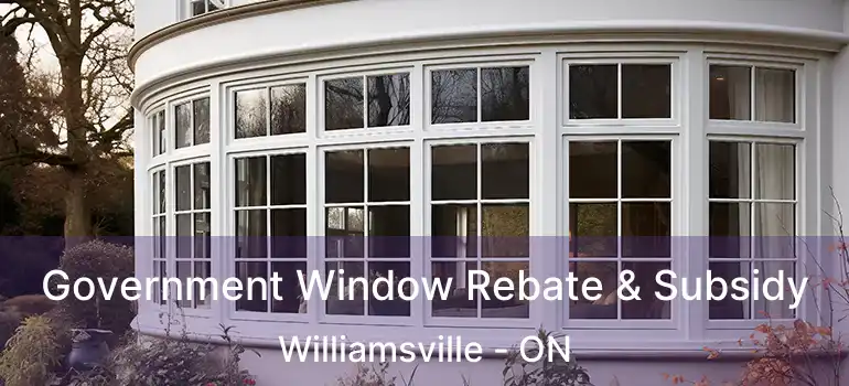  Government Window Rebate & Subsidy Williamsville - ON
