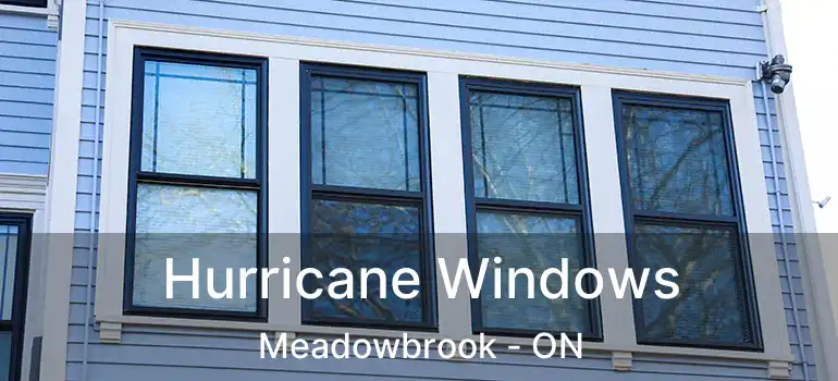  Hurricane Windows Meadowbrook - ON