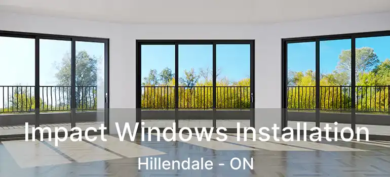  Impact Windows Installation Hillendale - ON