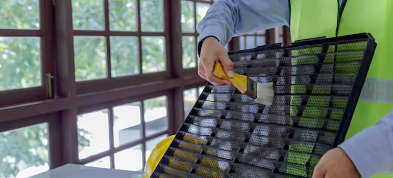 Traditional Window Grille Installation Options in Waterloo, ON