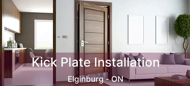  Kick Plate Installation Elginburg - ON