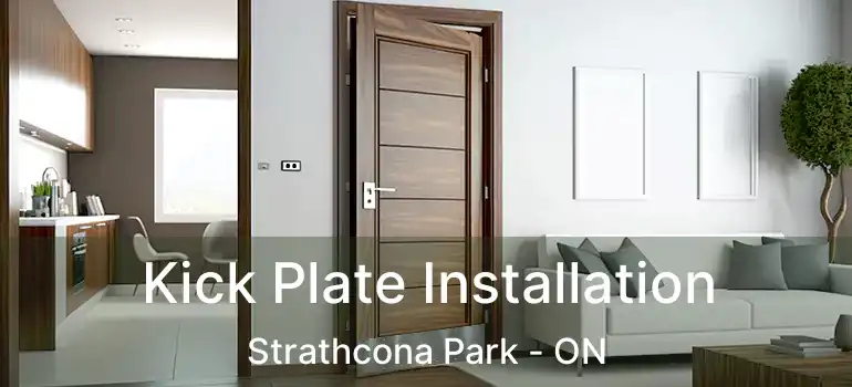  Kick Plate Installation Strathcona Park - ON