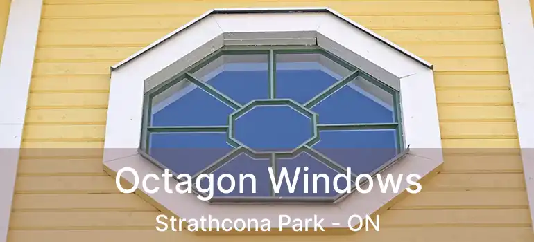  Octagon Windows Strathcona Park - ON