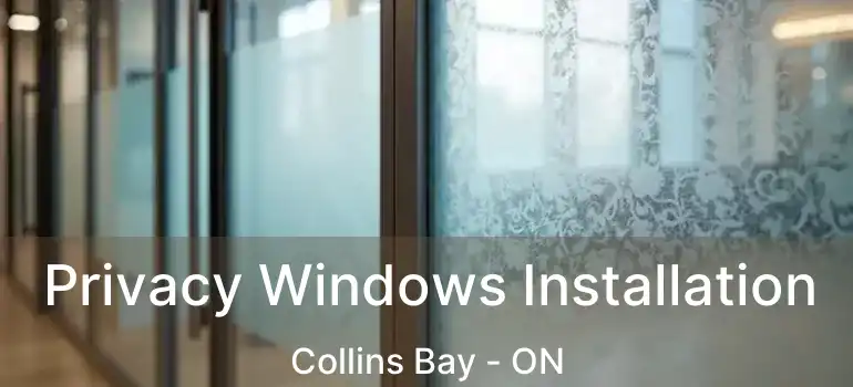  Privacy Windows Installation Collins Bay - ON