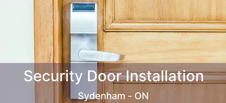  Security Door Installation Sydenham - ON
