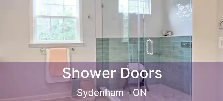  Shower Doors Sydenham - ON