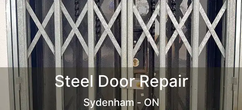  Steel Door Repair Sydenham - ON