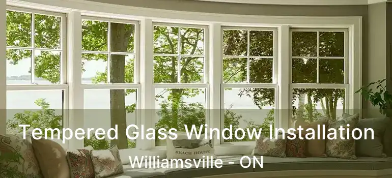  Tempered Glass Window Installation Williamsville - ON