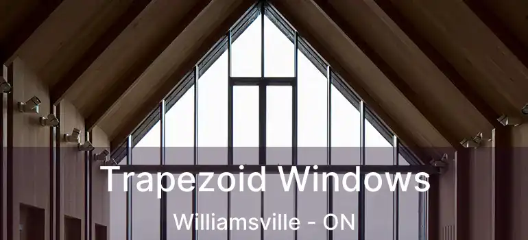  Trapezoid Windows Williamsville - ON
