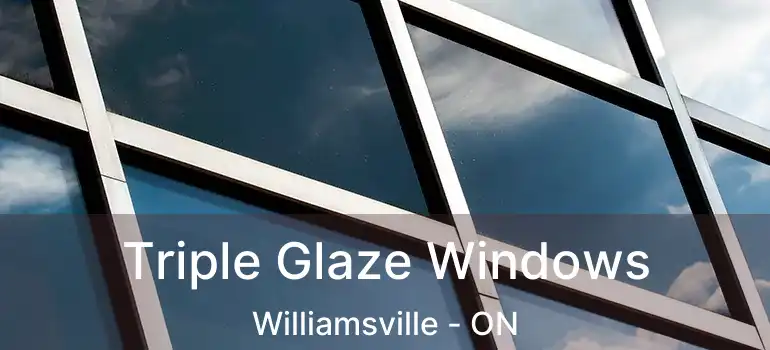  Triple Glaze Windows Williamsville - ON