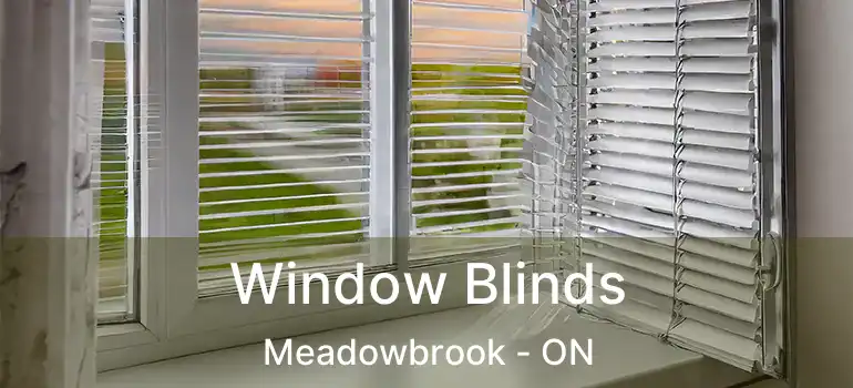  Window Blinds Meadowbrook - ON