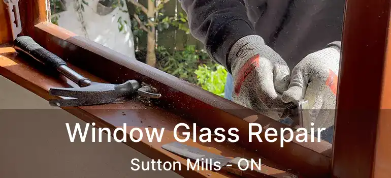  Window Glass Repair Sutton Mills - ON