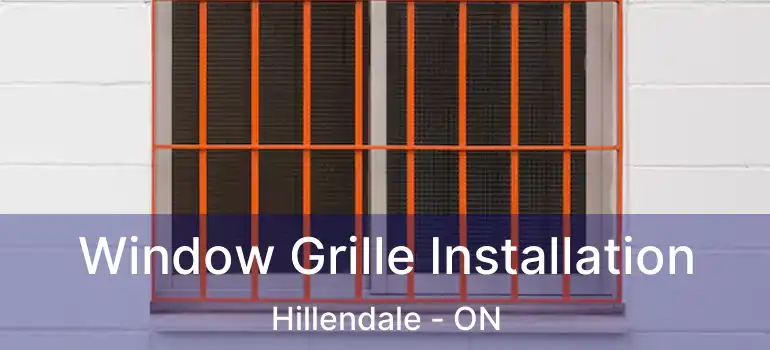  Window Grille Installation Hillendale - ON