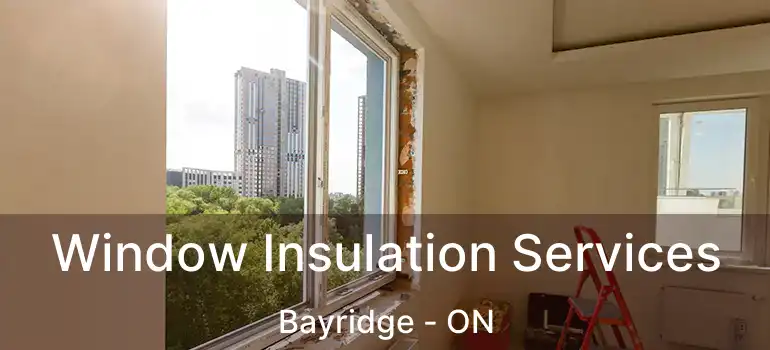  Window Insulation Services Bayridge - ON