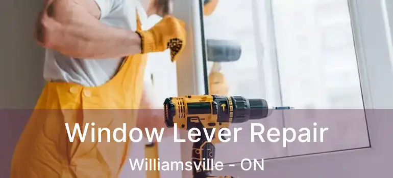  Window Lever Repair Williamsville - ON
