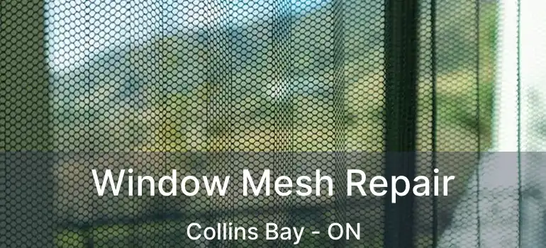  Window Mesh Repair Collins Bay - ON