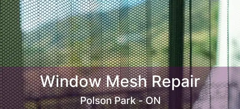  Window Mesh Repair Polson Park - ON