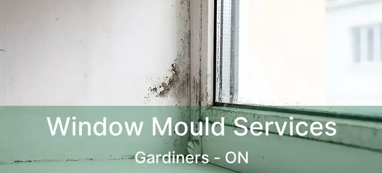  Window Mould Services Gardiners - ON