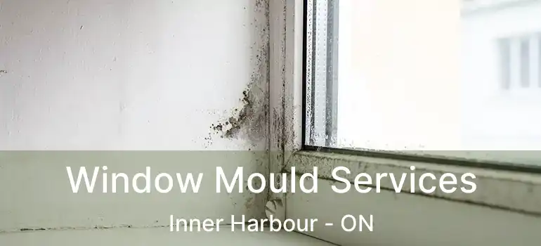  Window Mould Services Inner Harbour - ON