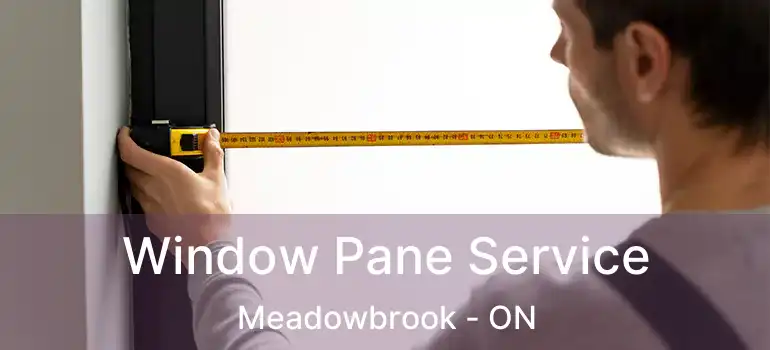  Window Pane Service Meadowbrook - ON
