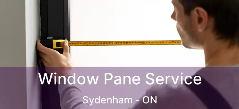  Window Pane Service Sydenham - ON