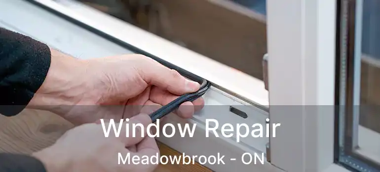  Window Repair Meadowbrook - ON