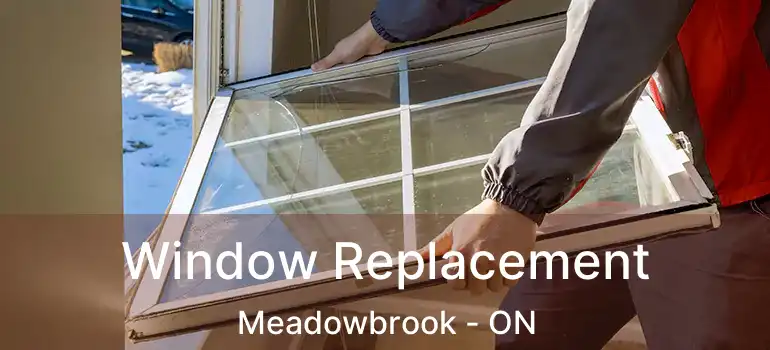  Window Replacement Meadowbrook - ON