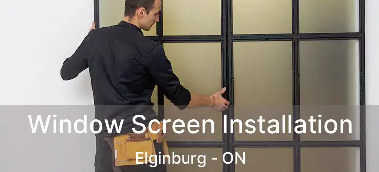  Window Screen Installation Elginburg - ON