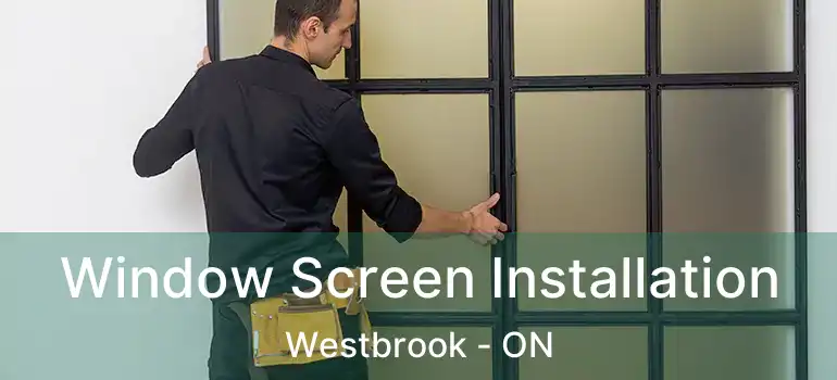  Window Screen Installation Westbrook - ON