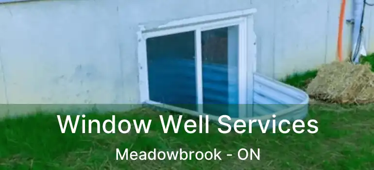  Window Well Services Meadowbrook - ON