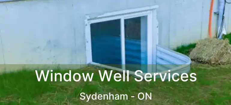  Window Well Services Sydenham - ON