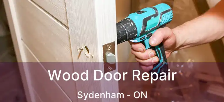  Wood Door Repair Sydenham - ON